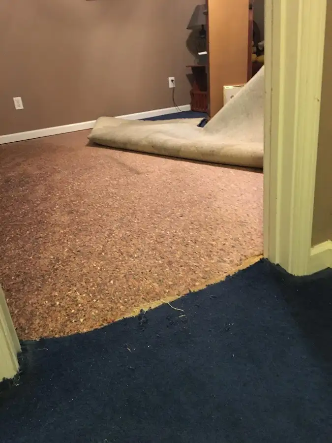Carpet pad removal revealing water damage during Drying & Dehumidification in East Hempfield